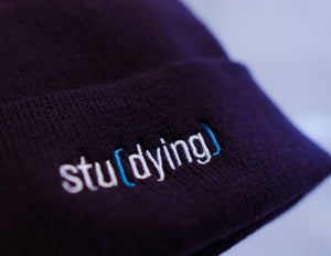 Beanie - Stu(dying) - Motiversity Canvas Wall Art for Luxury Office and Home