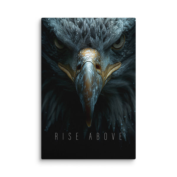 Rise Above