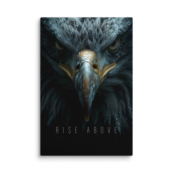 Rise Above